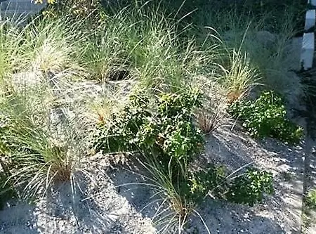 Leuchtturmblick Сasa de vacaciones Timmendorf